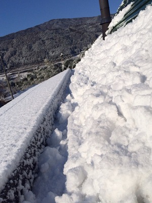 太陽光雪.JPG