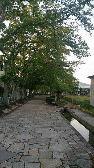 本町公園.jpg