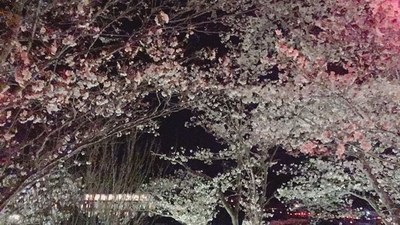 IMG_9396.JPG